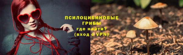 ПСИЛОЦИБИНОВЫЕ ГРИБЫ Алексин
