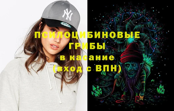 ПСИЛОЦИБИНОВЫЕ ГРИБЫ Алексин