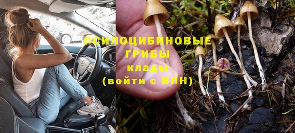 бутират Алзамай