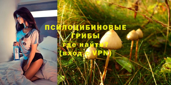 ПСИЛОЦИБИНОВЫЕ ГРИБЫ Алексин