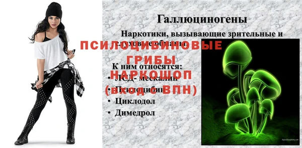 ПСИЛОЦИБИНОВЫЕ ГРИБЫ Алексин
