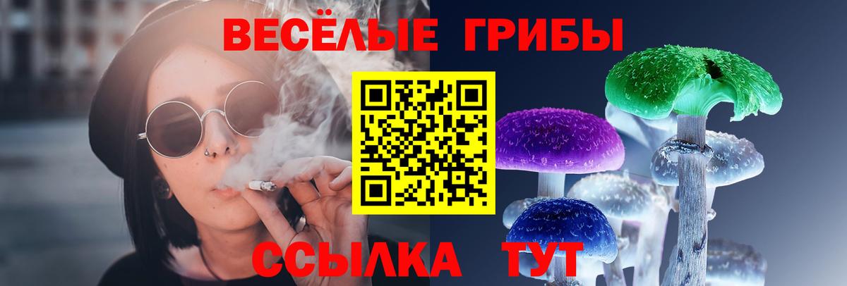 Галлюциногенные грибы мицелий  Вход с VPN  Кулебаки 